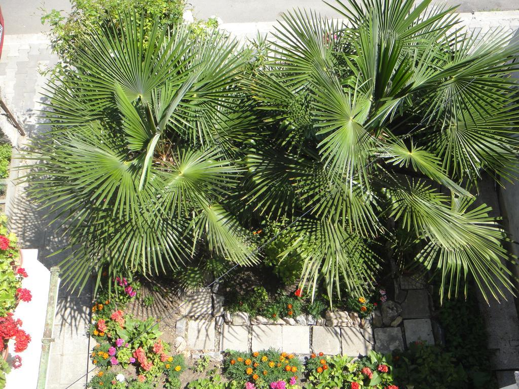 Guest House Eos Sosopol Exterior foto